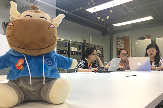 税务师电子证书要怎么打印？和纸质的有什么区别？